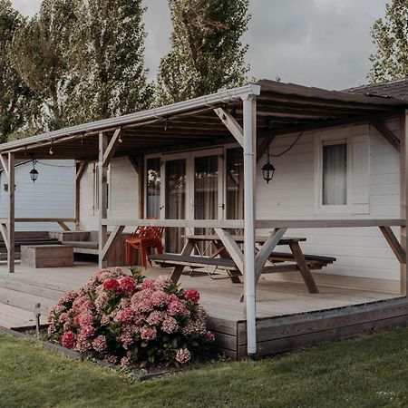 Chalet Tulpenweide - Recreatie Breezand Exterior foto