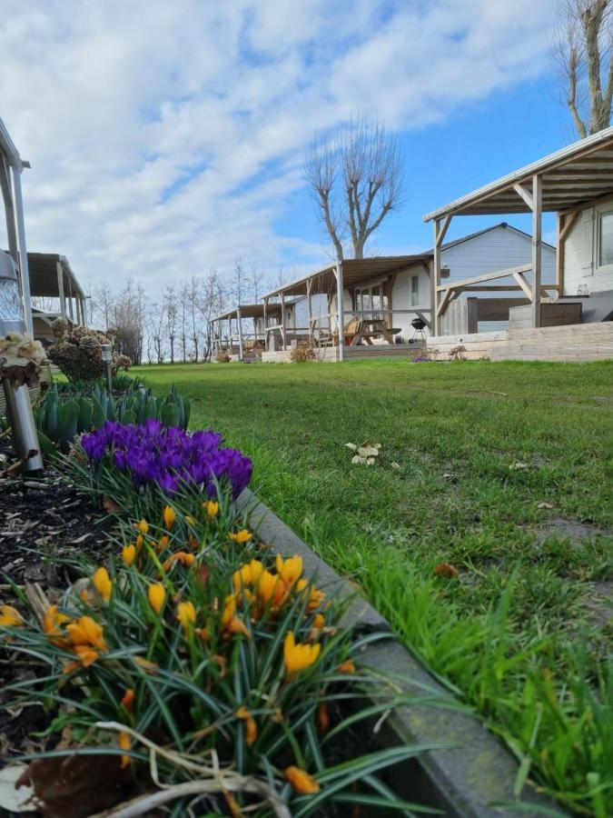 Chalet Tulpenweide - Recreatie Breezand Exterior foto